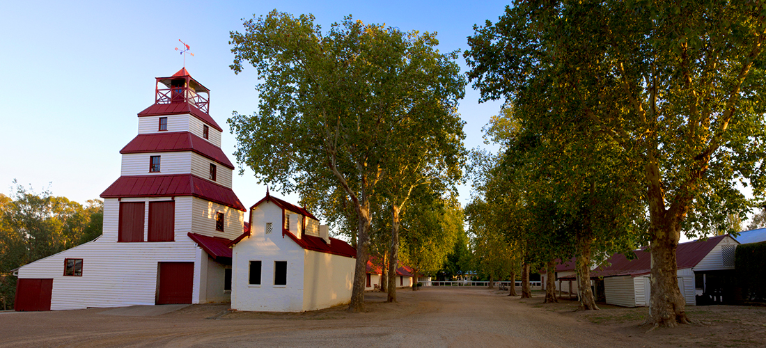 Tahbilk tower